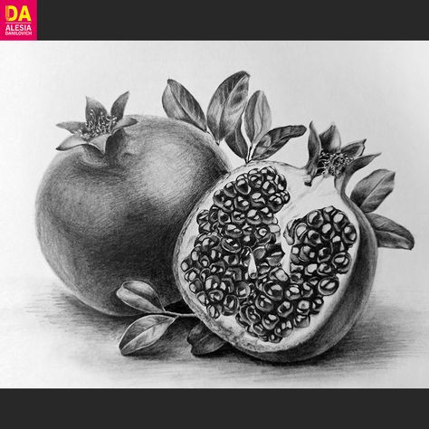 Pomegranate Sketch, Pomegranate Drawing, Pomegranate Art, Gcse Art Sketchbook, Fruits Drawing, Realistic Pencil Drawings, Art Tools Drawing, Embroidery Tutorial, Still Life Drawing