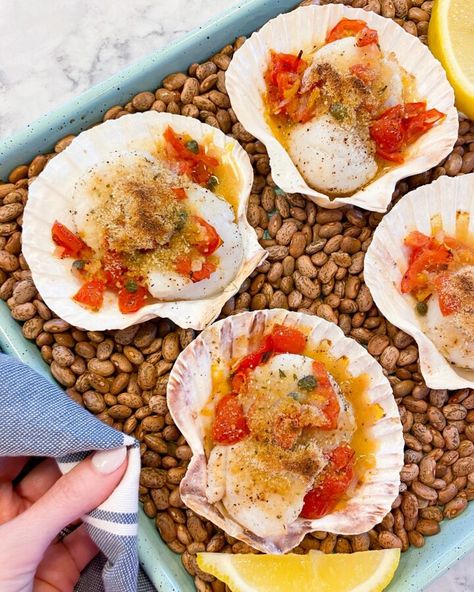 You searched for seafood - de socio in the kitchen Scallops On The Half Shell Recipe, Scallops In Shell, Frozen Scallops, How To Cook Scallops, Scallop Dishes, Baked Scallops, Grilled Scallops, Stuffed Shells Recipe, Scallop Recipes