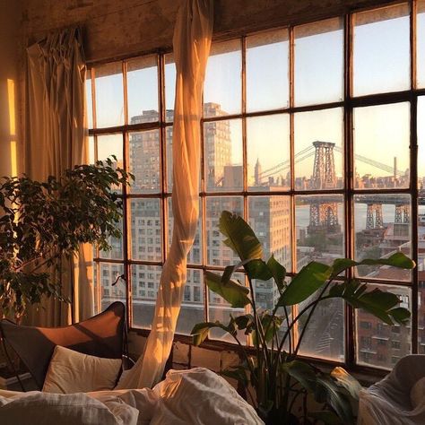 Large Windows, The Window, The City, Apartment, Bedroom, Bed, Plants