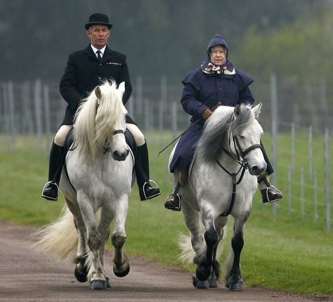 Fell Pony, Rainha Elizabeth Ii, Hm The Queen, Royal Family England, Elisabeth Ii, Queen Pictures, Isabel Ii, Queen Of England, Her Majesty The Queen