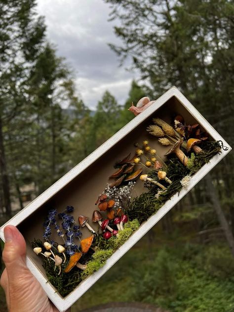 Woodland Diorama, Picture Frame Diorama, Mushroom Diorama, Diorama Ideas Forest, Living Room Witchy, Resin Fairy Garden, Bedroom Witchy, Mushroom Shadow Box Ideas, Miniature Forest Diy