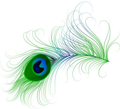 Feather Zentangle, Tumbler Drawings, Feather Clip Art, Peacock Feather Art, Painted Peacock, Feather Drawing, Feather Photography, Feather Fashion, Krishna Flute