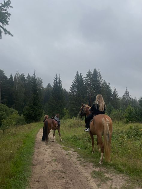 #horseridingstyle #forest #autumn #autumnforest #horses Horse Riding Through Forest, Mountain Horse Riding, Forest Horse Riding, Horseback Riding Photos, Horse Riding Forest, Horses At Home, Horse Back Riding Asethic, Stables Aesthetic, People Riding Horses