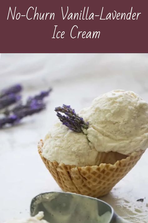 No-Churn Vanilla-lavender ice cream is summer on a spoon! Infuse the fresh floral essence of lavender into a sweet, creamy, no-churn ice cream that is easy to make. This ice cream will transport you to the serene lavender fields of France. Honey Lavender Ice Cream, Lavender Honey Ice Cream, Honey Ice Cream, Lavender Ice Cream, Ice Chips, Vanilla Lavender, Lavender Syrup, Milk Ice Cream, No Churn Ice Cream