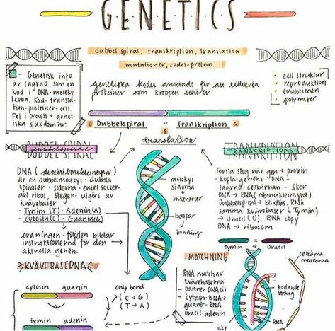 pinterest — ❝ spicyarwen ❞ ꧁“◞⋆ insta — arwenszn Dna Notes Biology, Genetics Notes Biology, Dna Notes, Genetics Notes, Microbiology Study, Biochemistry Notes, Studie Hacks, Science Revision, Biology Revision