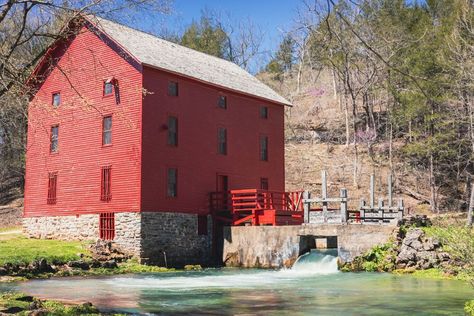 Missouri Springs | I made my first trip to Missouri and fell in love with the springs | Facebook Blue Spring, Blue Springs, Fell In Love, My Favorites, Missouri, Falling In Love, Springs, In Love, Blue