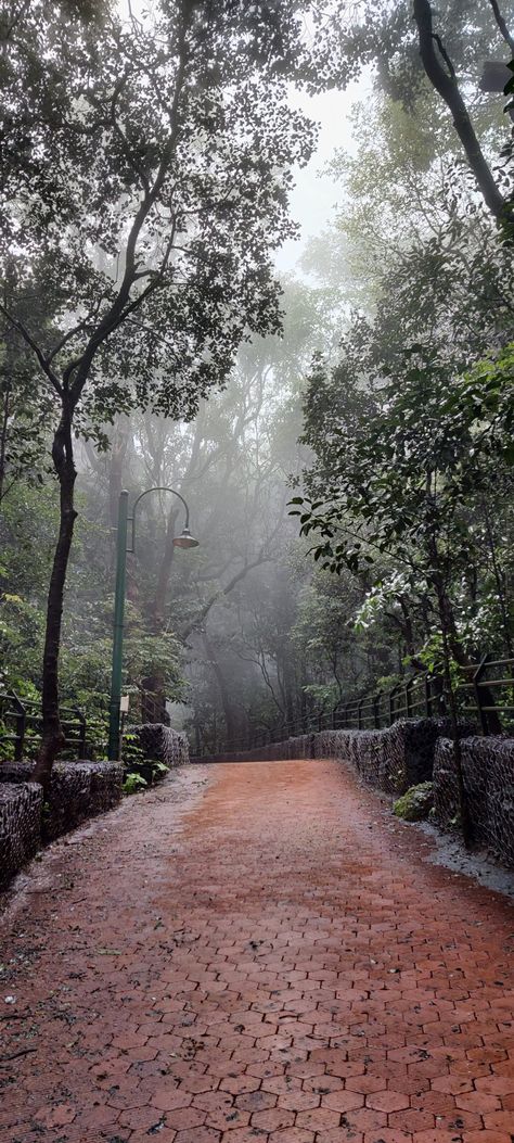 Monsoon Wallpaper Rain, India Rain Aesthetic, Nature Aesthetic Indian, Rain Indian Aesthetic, Matheran Hill Station Photography, Coorg Snap, Indian Monsoon Aesthetic, Matheran Snap, Indian Rain Aesthetic