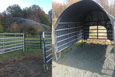 DIY Affordable Horse Shelter - COWGIRL Magazine Diy Shelter For Horses, Cattle Panel Shelter, Horse Shelters Diy, Diy Mini Horse Shelter, Diy Pony Shelter, Quick Horse Shelter, Cow Shelter Ideas Cheap, Portable Horse Shelter, Horse Stall Hacks