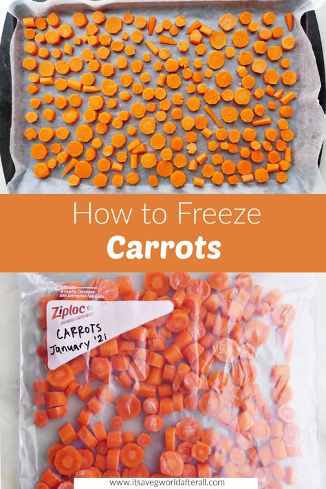 Preserving Carrots, How To Freeze Carrots, Mushroom Barley Stew, Carrot And Celery Soup, Freezing Carrots, Vegetarian Pot Pie, Freezing Vegetables, Vegetable Prep, Raw Carrots