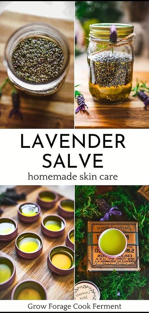 Herb Closet, Lavender Salve, Apothecary Garden, Herbal Salve Recipes, Medicinal Flowers, Herbs Medicine, Body Care Recipes, Survival Preparedness, Herbal Medicine Recipes