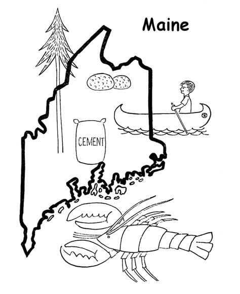 Maine Coloring Pages, Culture Coloring Pages, Travel Doodles, Maine Map, Maine State, State Of Maine, State Symbols, 2nd Grade Worksheets, State Birds