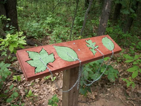 Leaf puzzle - can you put the leaf into the correct place? Nature Trail Signs, Trail Signage, Leaf Puzzle, Sensory Trail, Zoo Signage, Natural Playground Ideas, Leaf Identification, Natural Playgrounds, Interpretive Signage