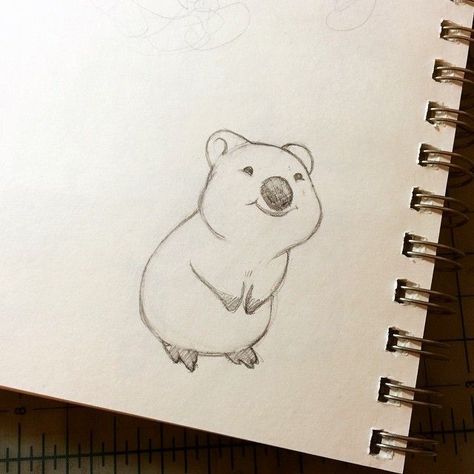 Animal World Drawing, Cute Quokka Drawing, Cute Happy Doodles, Quokka Drawing Cute, Warm Up Sketches Ideas, Quokka Sketch, Wombat Sketch, Quokka Doodle, Quokka Tattoo