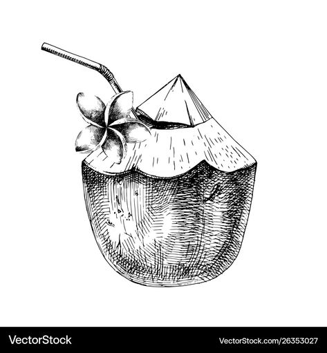 Coconut Drink Illustration, Coconut Drink Drawing, Coconut Sketch, Coconut Drawing, Coconut Tattoo, Drink Drawing, Coconut Vector, Drink Illustration, Green Coconut