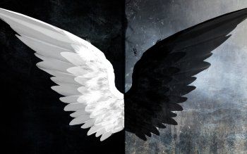 Good and Evil Fantasy Angel Wings Black & White Evil Wallpaper Desktop Wallpaper Black, Angel Wings Art, Wings Wallpaper, Black Angel Wings, White Angel Wings, Laptop Wallpaper Desktop Wallpapers, Computer Wallpaper Desktop Wallpapers, Wings Art, White Wings