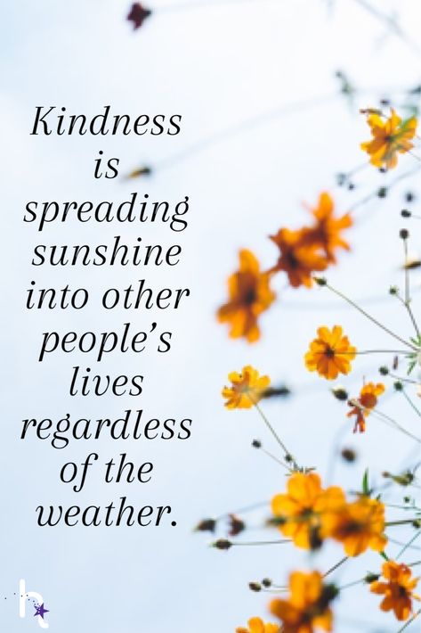 Quotes About Today Being A Good Day, Smile Today Quotes, Spreading Positivity Quotes, Kindness Goes A Long Way Quotes, Loving Kindness, Quotes About Sunshine Happiness, Walking On Sunshine Quotes, Quotes About Sunshine People, Stay Close To People Who Feel Sunshine