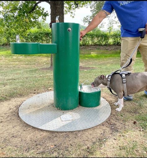 Murdock outdoor dog drinking fountains and showers are the smart choice anywhere a pet may need water. Perfect applications include dog parks, recreation areas, outdoor shopping centers, and other public and commercial locations. #PetDrinkingFountain #PetFountains #DogPark Dog Park Design, Dog Fountain, Drinking Water Fountain, Dog Water Fountain, Dog Parks, Drinking Fountains, Outdoor Shopping, Drinking Fountain, Parking Design