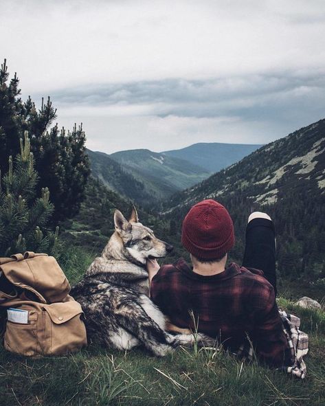 Honza Řeháček is freelance photographer from Czechia with a passion for nature, travel and his wolfdog Sitka. He can often be found combining his 3 passions, taking Sitka on adventures to wild and beautiful locations and making sure he gets a few amazing photos along the way. Appaloosa, Quarter Horse, Outdoor Life, Dog Photos, Mans Best Friend, Nature Travel, Bushcraft, The Great Outdoors, Koala