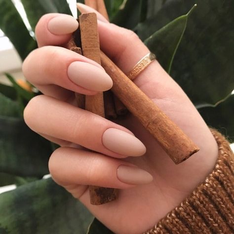 cinnamon-sticks-held-by-a-hand-with-sharp-oval-manicure-nude-matte-nails-and-a-gold-thumb-ring-brown-knitted-sweater-sleeve Oval Nail Art, Manicure Natural, Oval Nails Designs, Chic Manicure, Matte Nail Polish, Nude Nail Polish, Nude Nail Designs, Trim Nails, Oval Nails