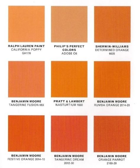 Orange Bookshelves, Burnt Orange Paint, Orange Accent Walls, Orange Paint Colors, Orange Front Doors, Wall Color Schemes, Kitchen Wall Colors, Painted Front Doors, Kitchen Paint Colors