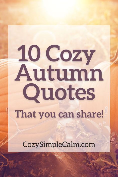 Can't wait for fall? Here are 10 fall quotes and sayings that you can share on Instagram to fill your feed with fall vibes through September, October, and November! Simple Fall Quotes, Pretty Fall Pictures, Candle Sayings Quote, Millenial Quotes, November Sayings, Fall Vibes Quotes, Warmth Quotes, Fall Time Quotes, Hygge Quotes