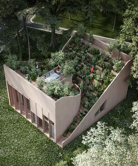 Eco Project, Houses In Germany, Eco House Design, Garden Decoration Ideas, Eco Buildings, Green Architecture, Earthship, Rooftop Garden, Pergola Designs