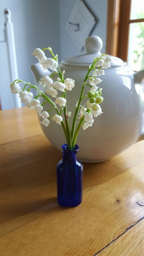 Lily Of The Valley Arrangement, Lily Of The Valley In Vase, Lily Of The Valley Vase, Lily Of The Valley Decor, Lily Of The Valley Bouquet, Lily Of The Valley Flowers, Valley Flowers, Month Flowers, Small Jars