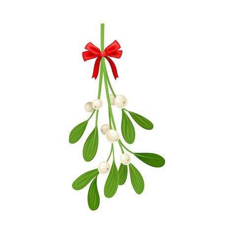 Premium Vector | Christmas sprig of mistletoe Illustration for greeting cards and invitations How To Draw A Mistletoe, Mistoetle Christmas, Misotoes Christmas, Mistletoe Illustration, Mistletoe Drawing, Mistletoe Clipart, Pink Eraser, Christmas Mistletoe, 6th Grade Art