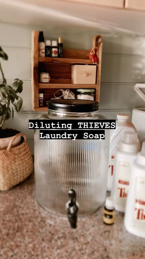 Theives Oil Laundry Soap, Thieves Laundry Detergent Hack, Young Living Laundry Detergent Dilution, Thieves Laundry Soap Hack, Young Living Laundry Detergent, Thieves Laundry Detergent, Thieves Laundry Soap, Theives Oil, Laundry Detergent Storage