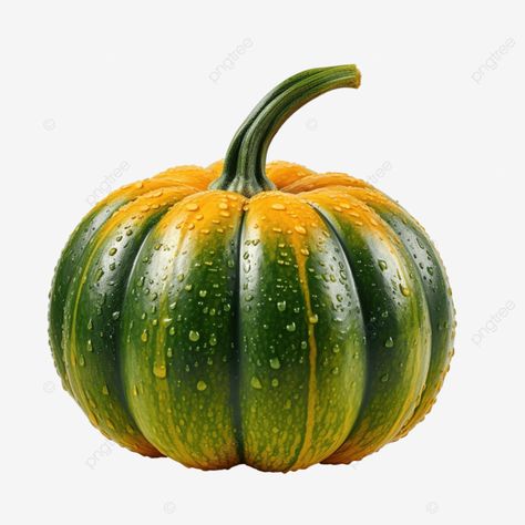 beautiful green and orange ripe pumpkin with water drops decoration for thanksgiving pumpkin food Decoration For Thanksgiving, Pumpkin Food, Food Thanksgiving, Pumpkin Drawing, Food Ad, Green Pumpkin, Thanksgiving Pumpkin, Pumpkin Colors, Transparent Image