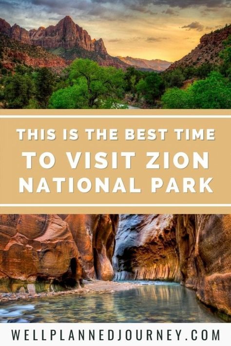 Mt Zion National Park, Zion Camping, Sedona Arizona Travel, Narrows Zion National Park, The Narrows Zion, Utah Parks, Hiking The Narrows, Zion Park, National Park Itinerary