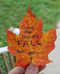 Even the leaves fall for you!!! Leaf Quotes Leaves, Leaf Captions For Instagram, Falling For You Quotes, Love Birds Quotes, Leaf Quotes, Bag Painting, Disney Quotes Funny, Gold Art Print, Bird Quotes