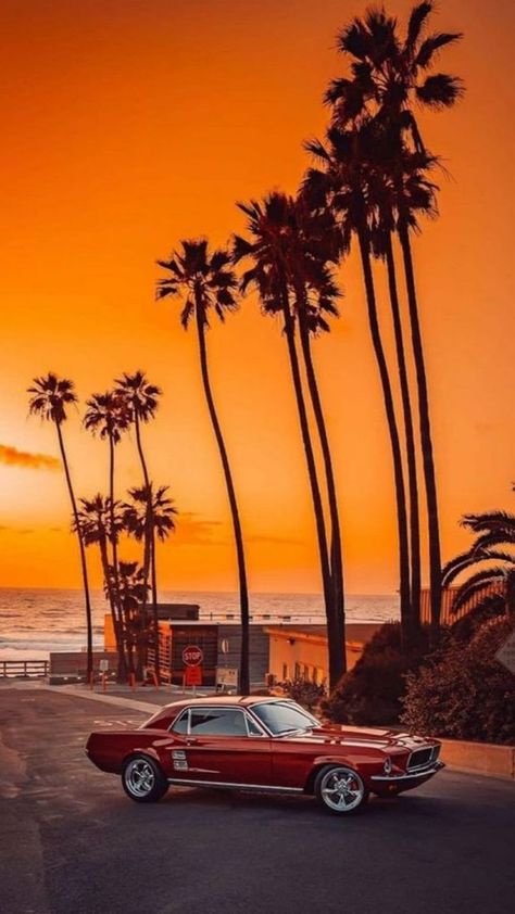 Cali Vibes, Car Backgrounds, Pimped Out Cars, Its A Mans World, Cars Vintage, Car Drawings, Mans World, American Muscle Cars, Car Shop