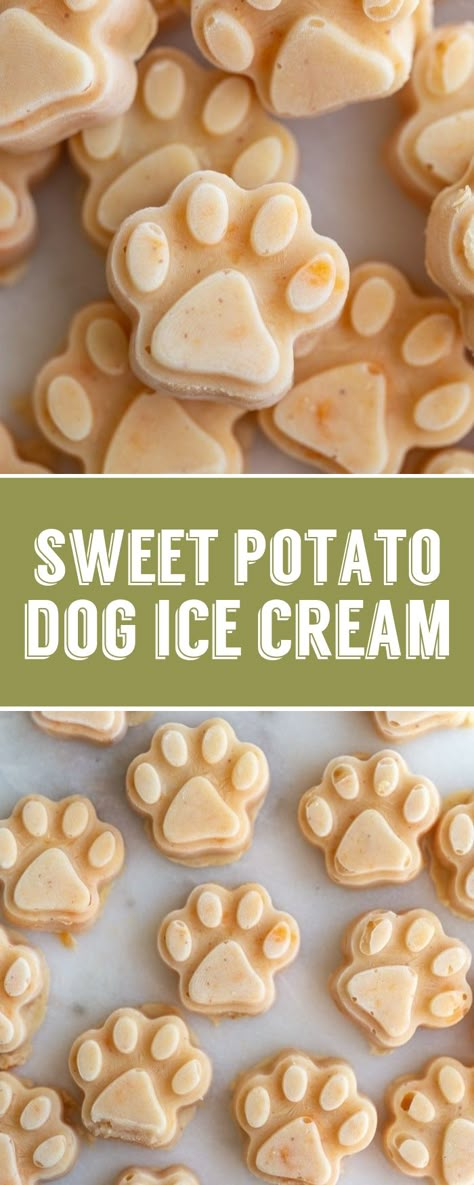 This Easy to make Sweet Potato Dog Ice Cream is perfect for summer and a great dog treat! Puppy Desserts For Dogs, Puppy Ice Cube Treats, How To Make Treats For Dogs, Freeze Dog Treats, Cute Dog Treat Recipes, Frozen Dog Treats Homemade Ice Cube Trays, Dog Treats Mold Recipes, Summer Treats For Dogs, Dog Friendly Ice Cream