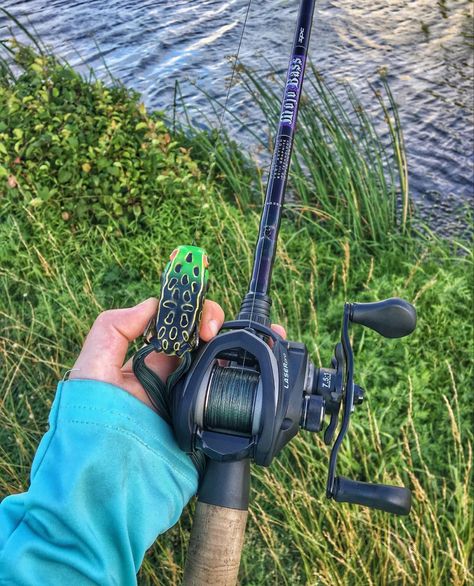 Fishing Aesthetic, Minnesota Lake, Summer Fishing, Fishing Pictures, Fishing Rods And Reels, Fishing Life, Down South, Fishing Tips, Fishing Trip