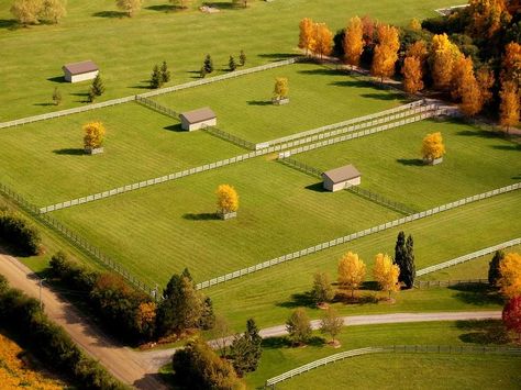 love the idea of putting a shelter between two fields. that way you can rotate horses around giving the pastures a break when needed Horse Pasture Layout, Pasture Shelter For Horses, Horse Farm Layout With House, Horse Pasture Shelter, Horse Property Layout, Horse Field Layout, Field Shelter Horses, Alpaca Farm Layout, Run In Shelter For Horses