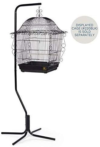 AmazonSmile : Prevue Hendryx Tubular Steel Hanging Bird Cage Stand 1780 Black, 24-Inch by 24-Inch by 60-Inch : Birdcages : Pet Supplies Bird Cage Ideas, Canary Cage, Birds Cage, Bird Cage Stand, Hanging Bird Cage, Black Cage, Fruit Photography, Leg Support, Hanging Plant