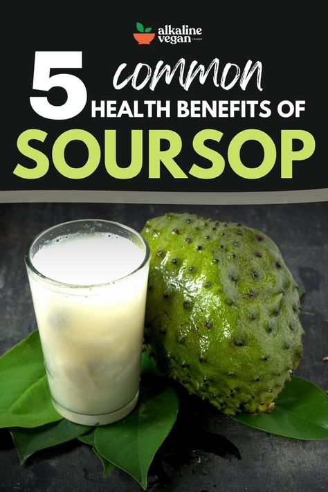 Soursop Health Benefits Of Soursop, Soursop Benefits, Benefits Of Soursop, Soursop Fruit, Custard Apple, Fruit Health Benefits, Cough Medicine, Healthy Carbs, Healthy Benefits