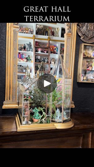 Harry Potter Terrarium, Hagrid Hut, Harry Potter Great Hall, Hagrids Hut, Great Hall, How To Decorate, Our House, So Beautiful, Single Piece