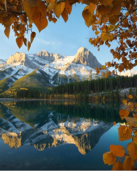 Fall Nature Photography, Fall Photography Nature, Earth Photography, Canmore Alberta, Photography Inspiration Nature, Fall Landscape Photography, Fall Nature, Fall Landscape, Fine Art Landscape Photography