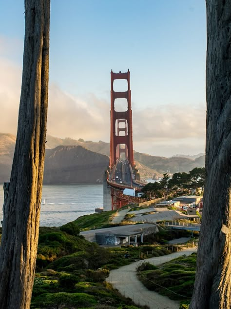 One Day In San Francisco: Best Of San Francisco In A Day San Francisco Itinerary, Weekend In San Francisco, Visit San Francisco, The Golden Gate Bridge, San Francisco Travel, San Fran, Road Trip Usa, Travel Inspo, Dream Destinations