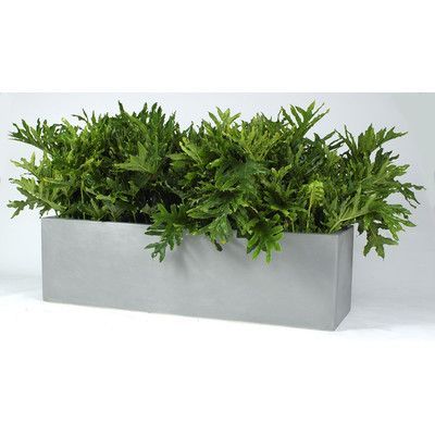 Rectangular Planter Box, Metal Wall Planters, Plastic Planter Boxes, Rectangle Planters, Corten Steel Planters, Contemporary Planters, Outdoor Garden Planters, Rectangular Planters, Window Planter Boxes