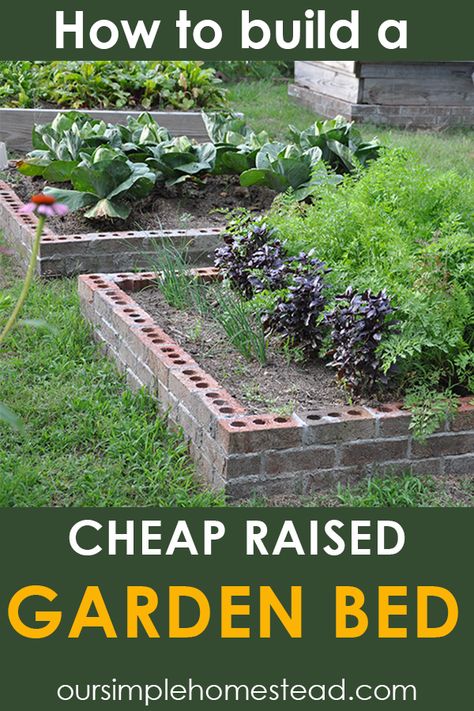 How to Build a Cheap Raised Garden Bed The first thing I did was take a walk around the farm to see what I could find to use. I found cinder blocks, a stack of pallets, a pile of bricks, a pile of downed trees and piles and piles of trimmed branches.  #gardening #gardenbed #rasiedbeds #homesteading Brick Raised Garden Beds, Cheap Raised Garden Beds, Raised Garden Beds Diy Vegetables, Garden Diy On A Budget, Garden Bed Layout, Yummy Veggies, Gardening Equipment, Winter Vegetables Gardening, Amazing Meals