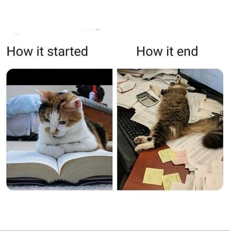 Students Memes Hilarious, Study Memes Funny Humor, Education Memes Student, Student Memes Hilarious, Daily Life Relatable Memes Funny, Study Memes Funny Student, Relatable School Meme Student, Funny School Memes Student, School Memes Funny Student