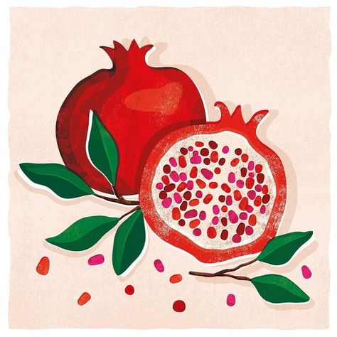 Foodie Illustration, Pomegranate Drawing, Pomegranate Art, Pomegranate Fruit, Seashell Painting, Watercolor Fruit, Pottery Painting Designs, Fruit Illustration, Fruit Painting