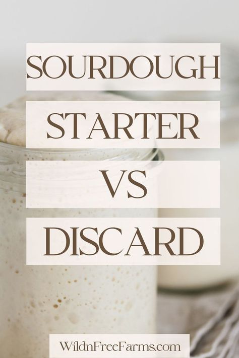 sourdough discard vs starter Active Sourdough Starter, Sourdough Starter Discard Recipe, Sourdough Starter Recipe, Baking Games, Sourdough Discard, Sourdough Baking, Sourdough Bread Recipe, Gluten Free Eating, Starters Recipes