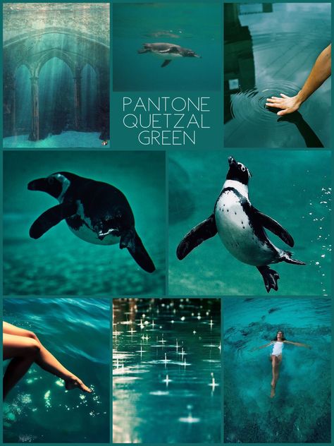 PANTONE Quetzal Green by Mimmi Quetzal Green Aesthetic, Pantone Quetzal Green, Quetzal Green, Green Inspo, Pantone Colour Palettes, Color Schemes Colour Palettes, Belek, Color Crush, Beautiful Color Combinations