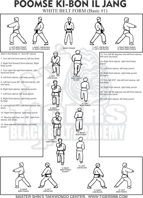 Taekwondo White Belt, Taekwondo Forms, Taekwondo Techniques, Black Belt Taekwondo, Taekwondo Belts, Korean Martial Arts, Karate Kata, Taekwondo Training, Karate Belt