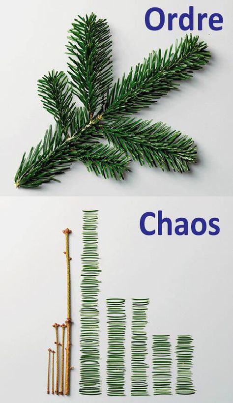 Order vs Chaos Data Visualization Art, Order And Chaos, Things Organized Neatly, Visuell Identitet, Pine Leaf, Graphisches Design, Art Appliqué, Information Graphics, Pine Needles