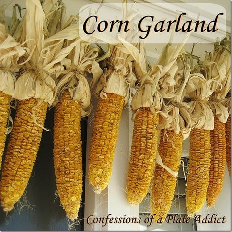 How to Make a Dried Corn Garland.  I love this over the front door.  Will do for fall. Corn Garland, Primitive Autumn, Dried Corn, Thrifty Decor Chick, Easy Fall Decor, Indian Corn, Primitive Fall, Corn On Cob, Primitive Decorating Country